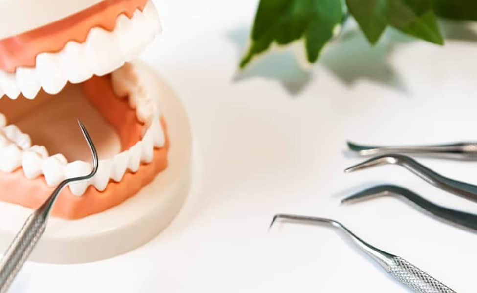 Dentadura de muestra y herramientas dentales